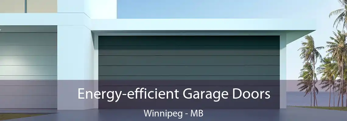 Energy-efficient Garage Doors Winnipeg - MB