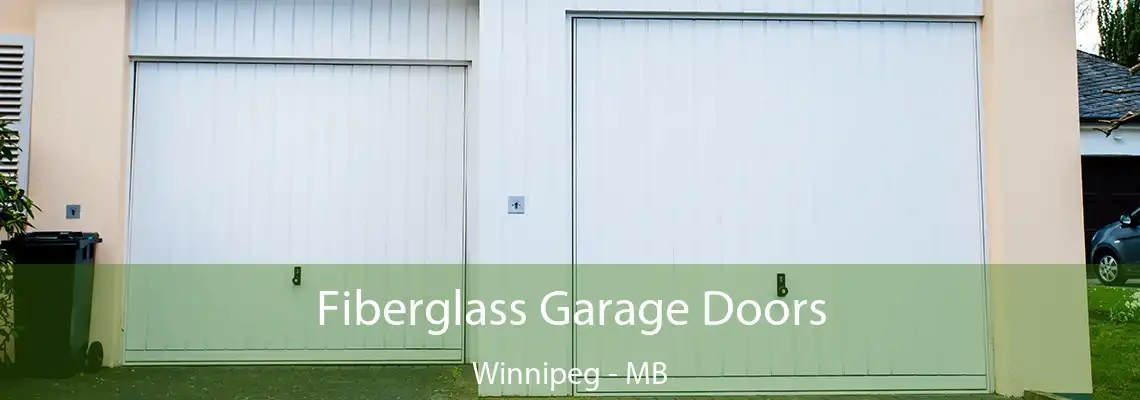 Fiberglass Garage Doors Winnipeg - MB