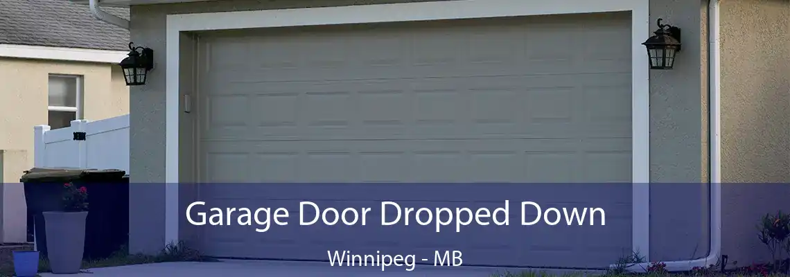 Garage Door Dropped Down Winnipeg - MB