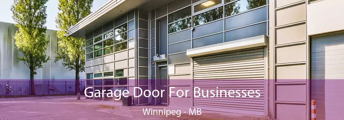 Garage Door For Businesses Winnipeg - MB