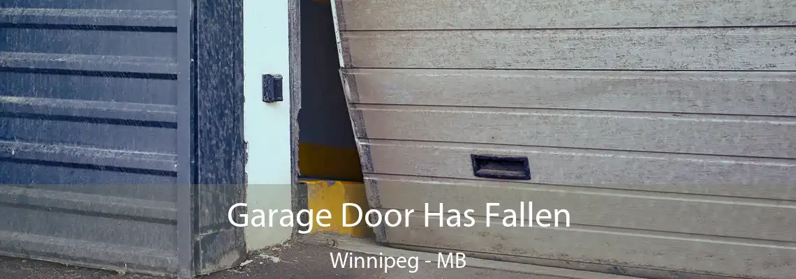 Garage Door Has Fallen Winnipeg - MB