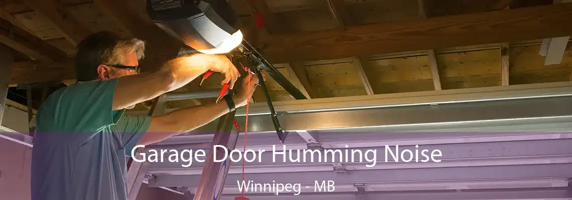 Garage Door Humming Noise Winnipeg - MB