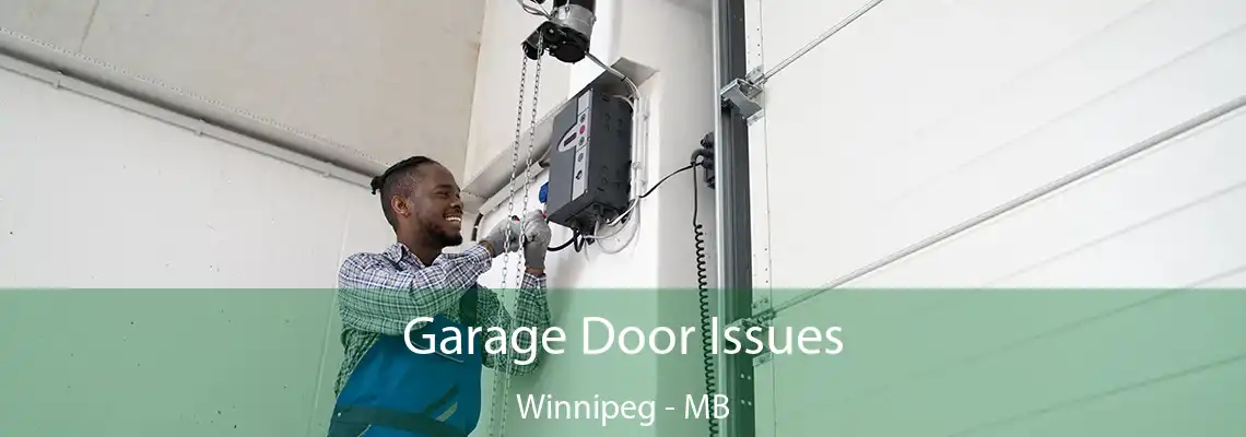 Garage Door Issues Winnipeg - MB