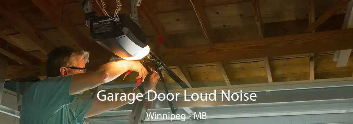 Garage Door Loud Noise Winnipeg - MB