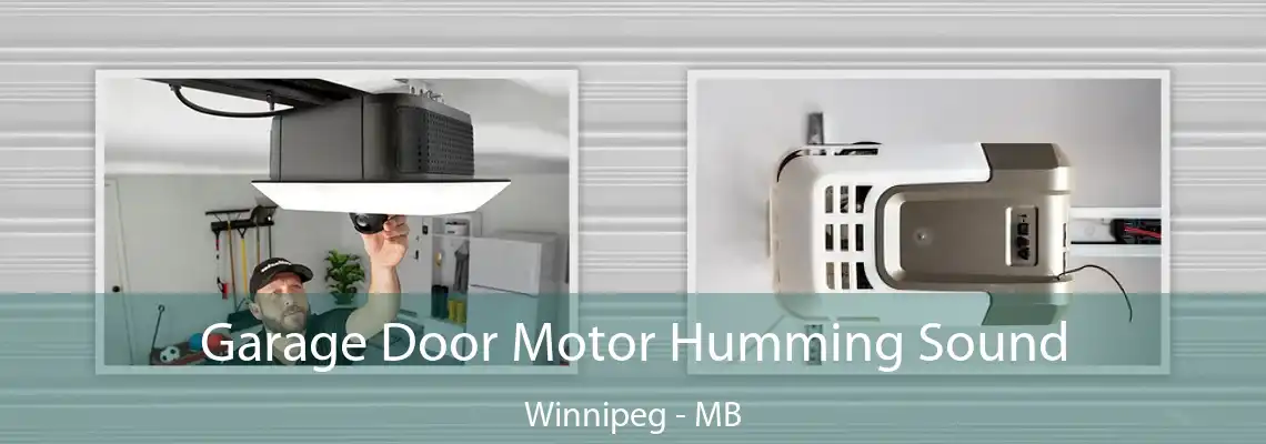 Garage Door Motor Humming Sound Winnipeg - MB