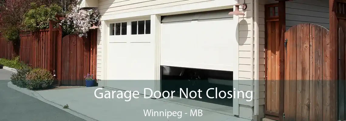 Garage Door Not Closing Winnipeg - MB