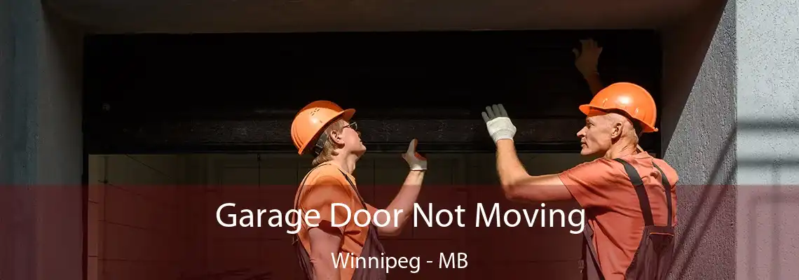 Garage Door Not Moving Winnipeg - MB