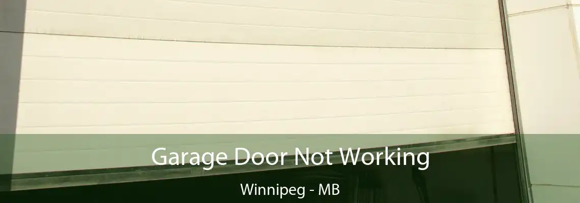  Garage Door Not Working Winnipeg - MB