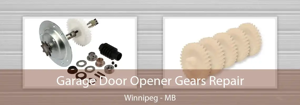 Garage Door Opener Gears Repair Winnipeg - MB