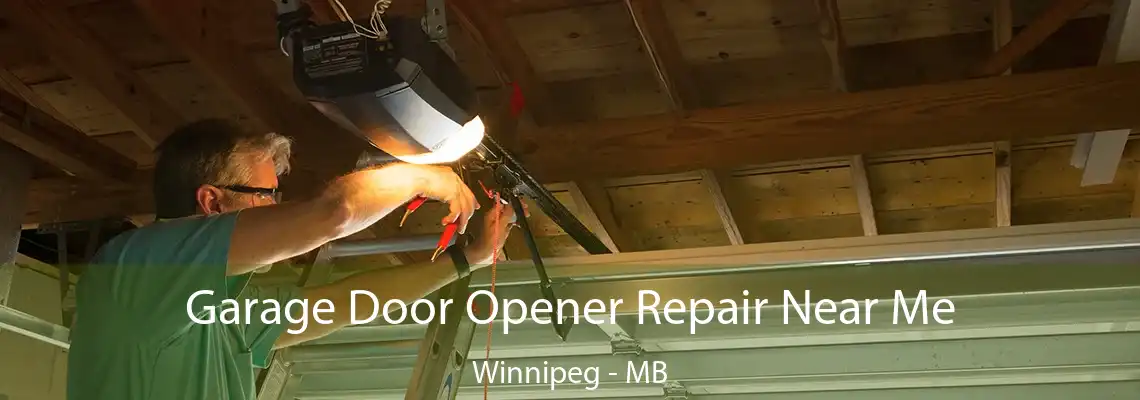 Garage Door Opener Repair Near Me Winnipeg - MB