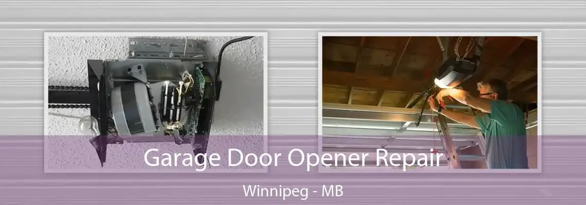 Garage Door Opener Repair Winnipeg - MB