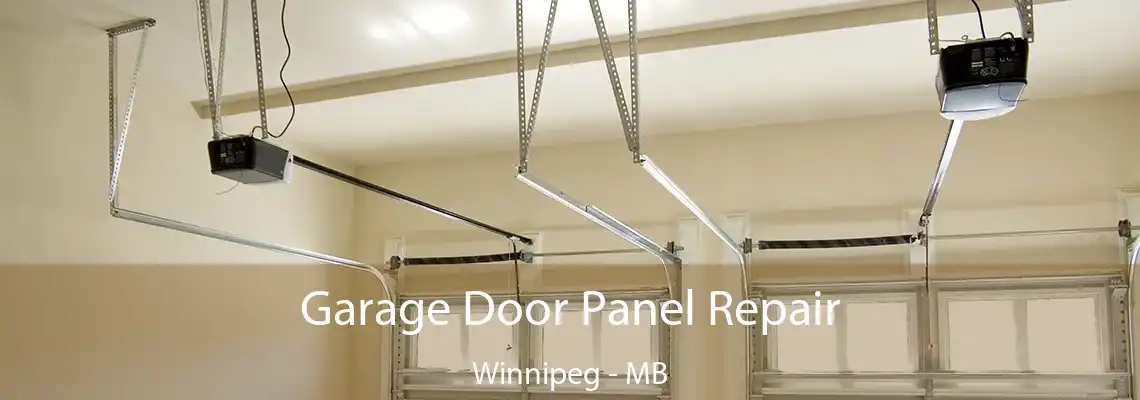 Garage Door Panel Repair Winnipeg - MB