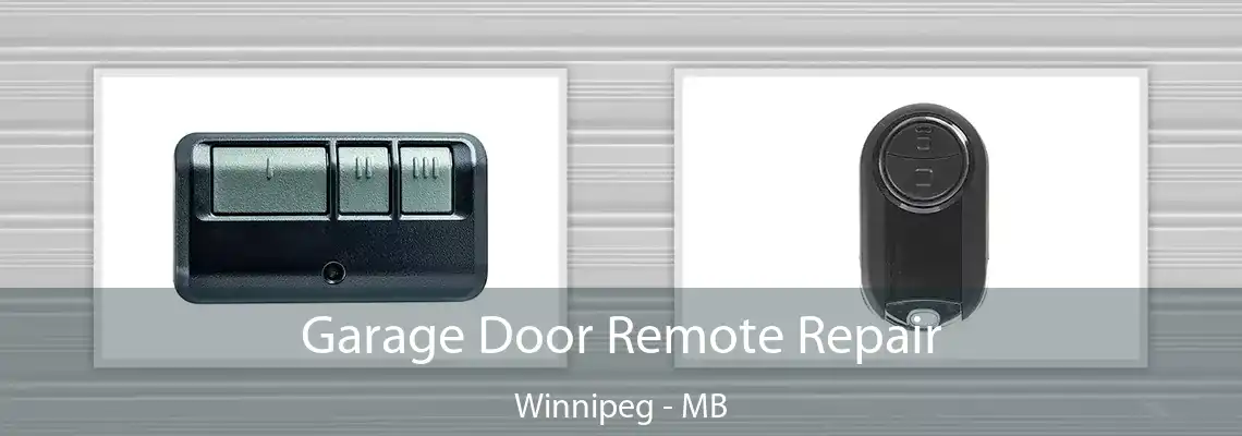 Garage Door Remote Repair Winnipeg - MB