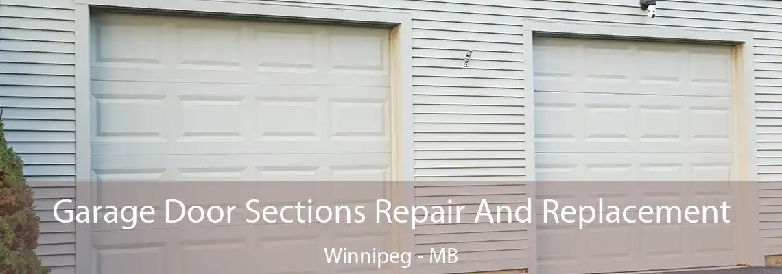 Garage Door Sections Repair And Replacement Winnipeg - MB