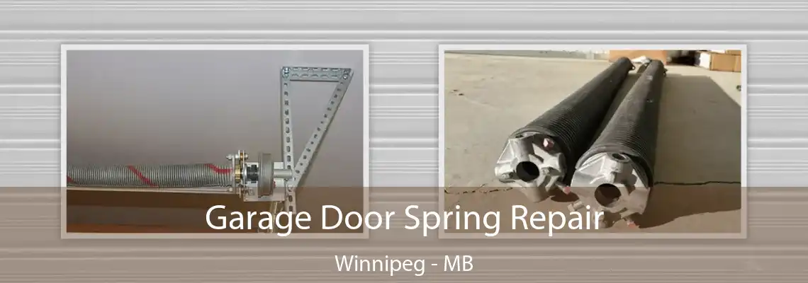 Garage Door Spring Repair Winnipeg - MB