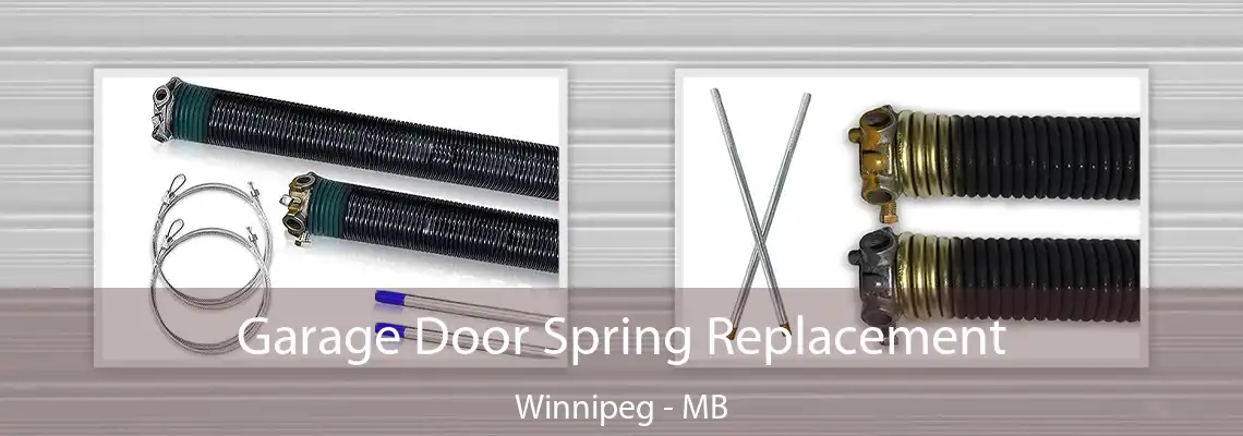 Garage Door Spring Replacement Winnipeg - MB