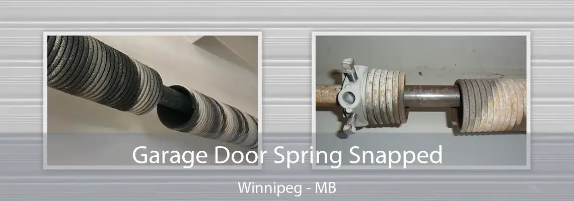 Garage Door Spring Snapped Winnipeg - MB