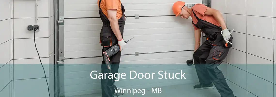 Garage Door Stuck Winnipeg - MB