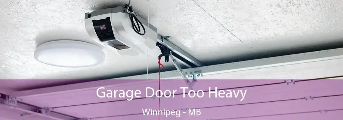 Garage Door Too Heavy Winnipeg - MB