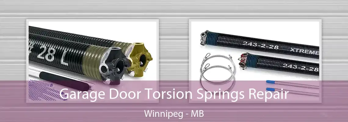 Garage Door Torsion Springs Repair Winnipeg - MB