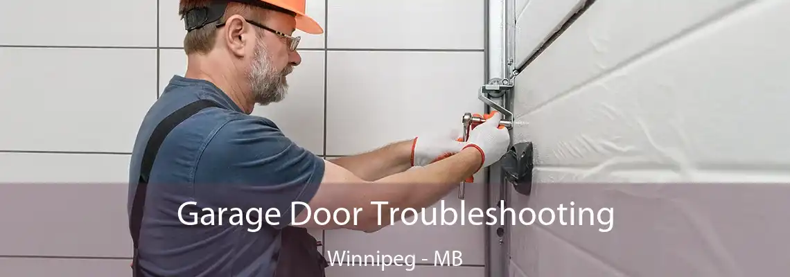 Garage Door Troubleshooting Winnipeg - MB
