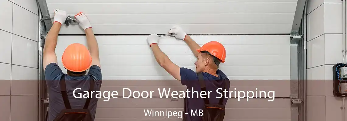 Garage Door Weather Stripping Winnipeg - MB