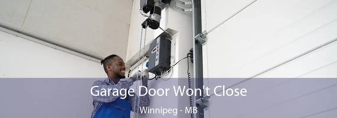 Garage Door Won't Close Winnipeg - MB