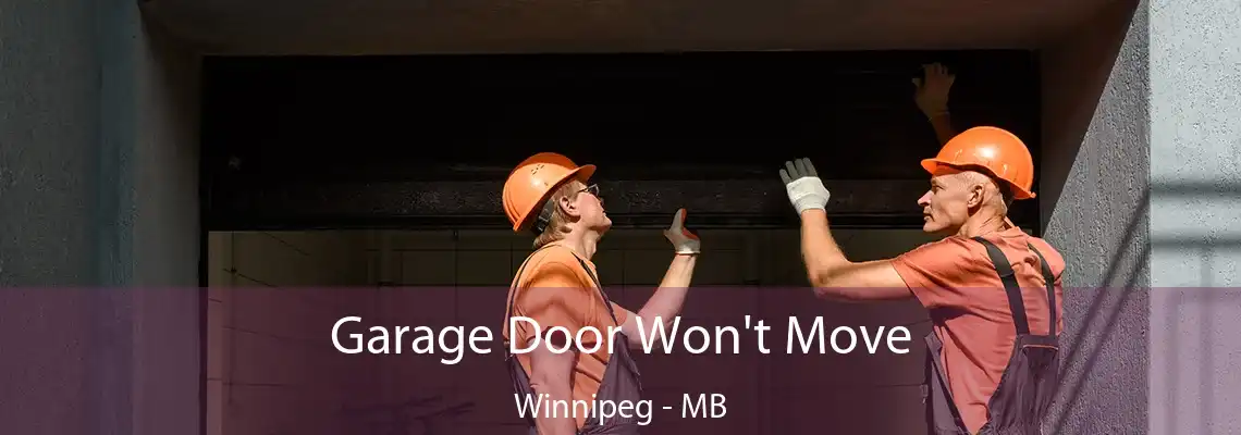 Garage Door Won't Move Winnipeg - MB