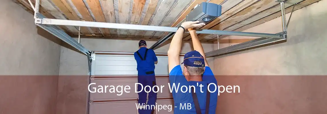 Garage Door Won't Open Winnipeg - MB
