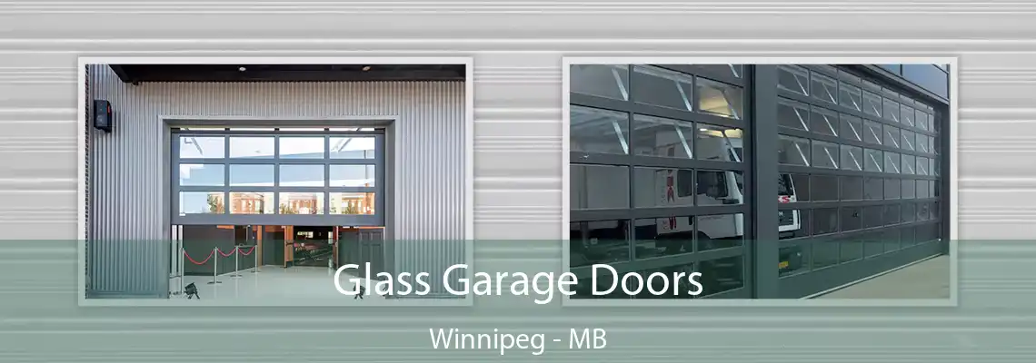 Glass Garage Doors Winnipeg - MB