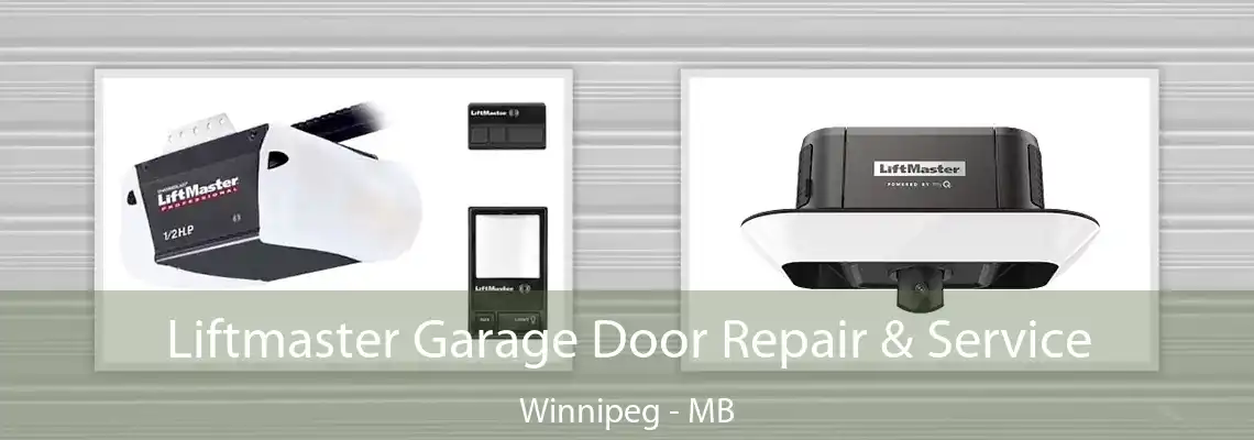 Liftmaster Garage Door Repair & Service Winnipeg - MB