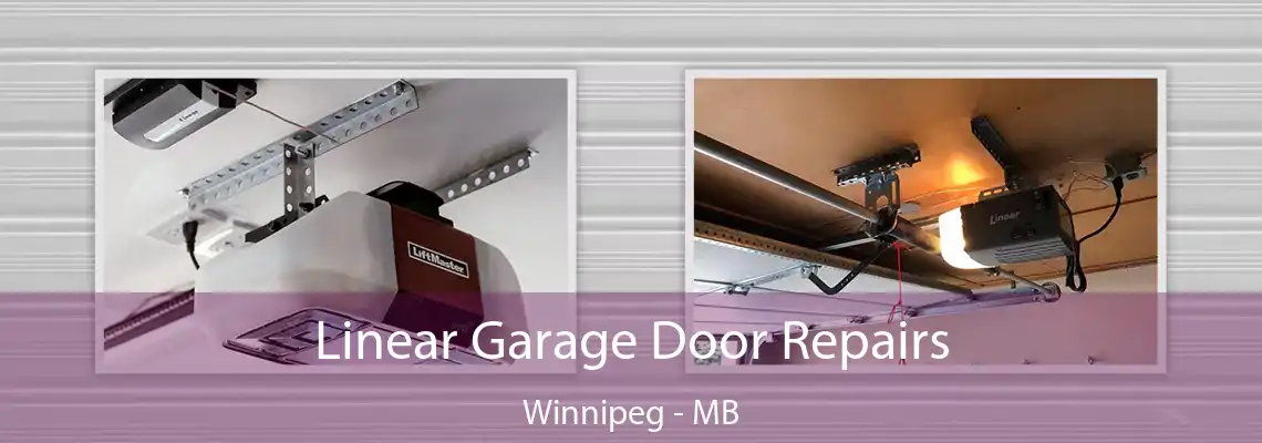 Linear Garage Door Repairs Winnipeg - MB