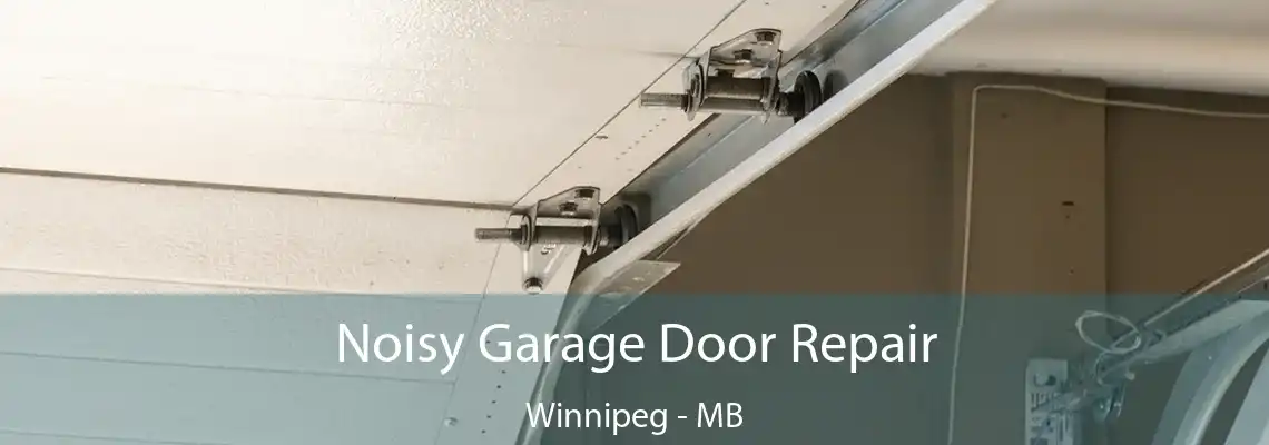 Noisy Garage Door Repair Winnipeg - MB