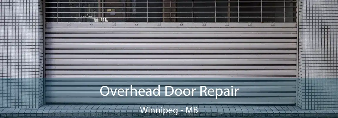  Overhead Door Repair Winnipeg - MB