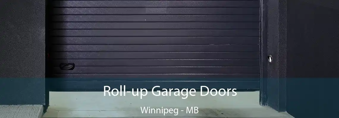 Roll-up Garage Doors Winnipeg - MB
